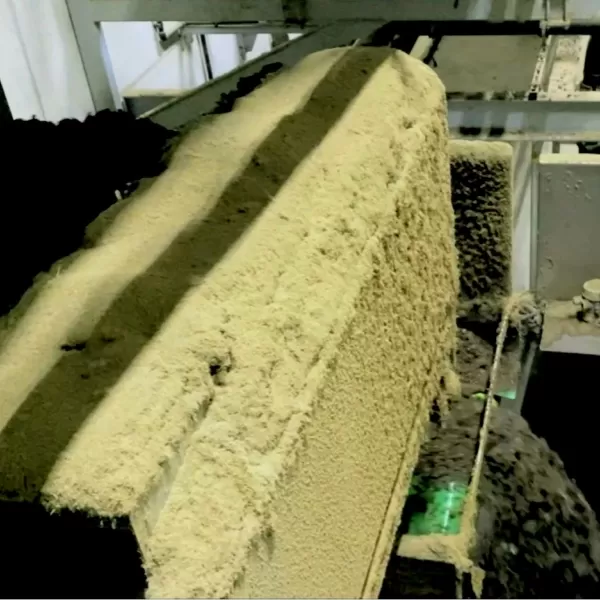 Progressive cavity pumps: a solution for industrial sludge treatment