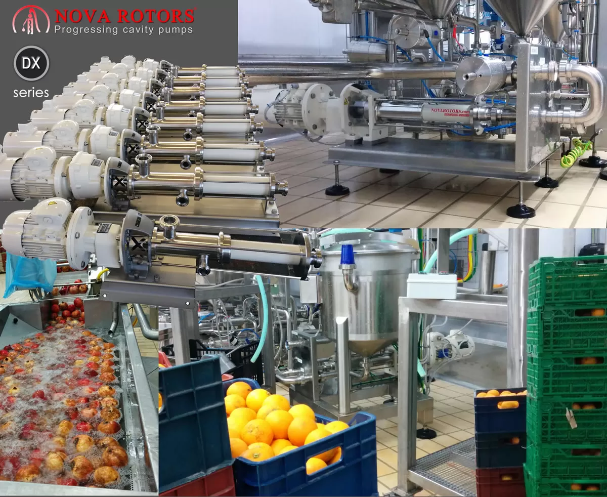 Verarbeitung von Obst und Gem&uuml;se