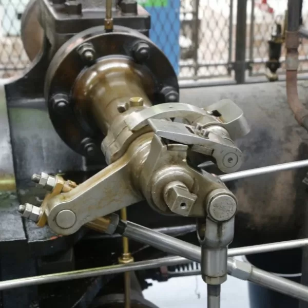 Progressive cavity pumps for sludge